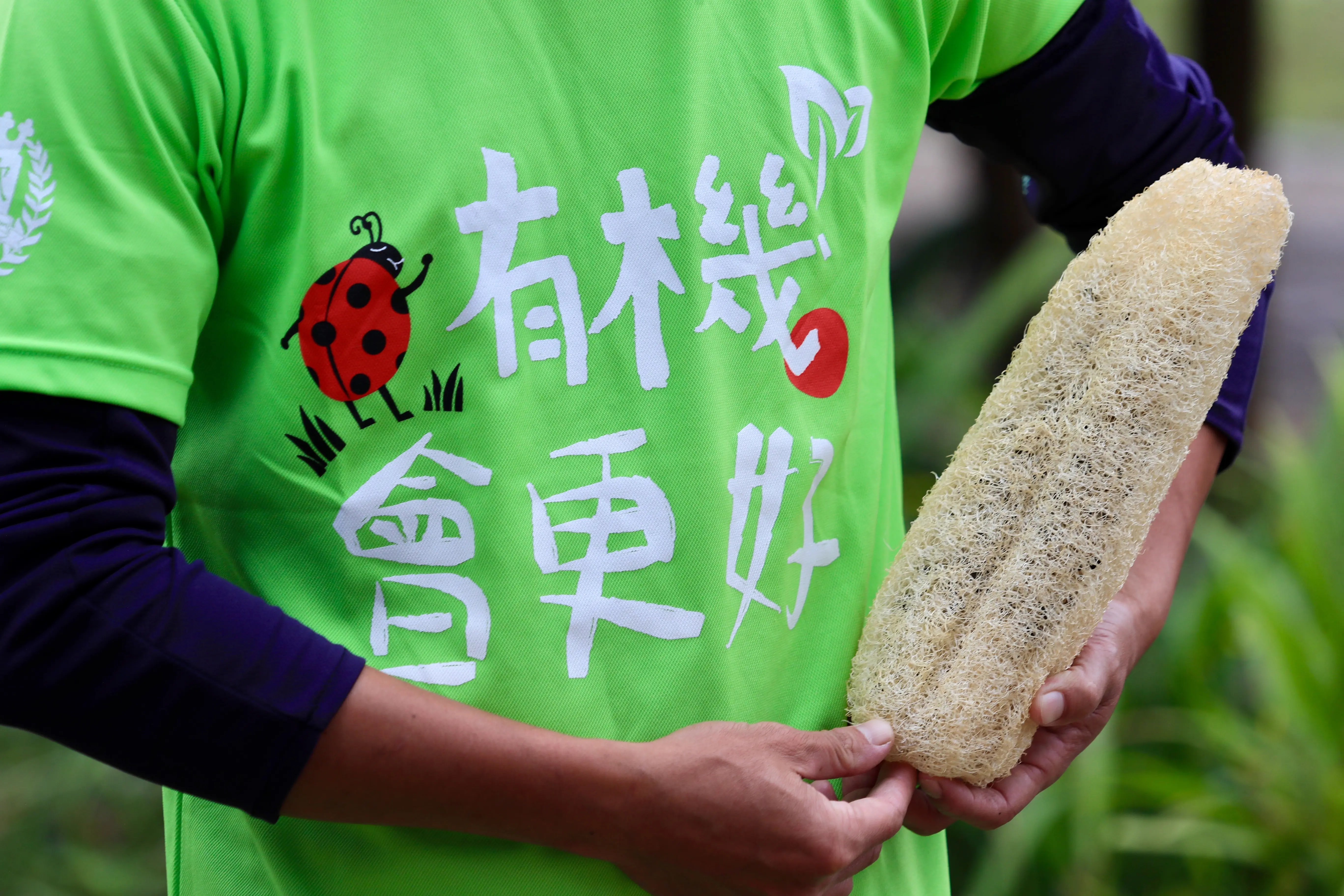 充滿活力的有機田園 | 屏東六堆雅歌園有機教育農場