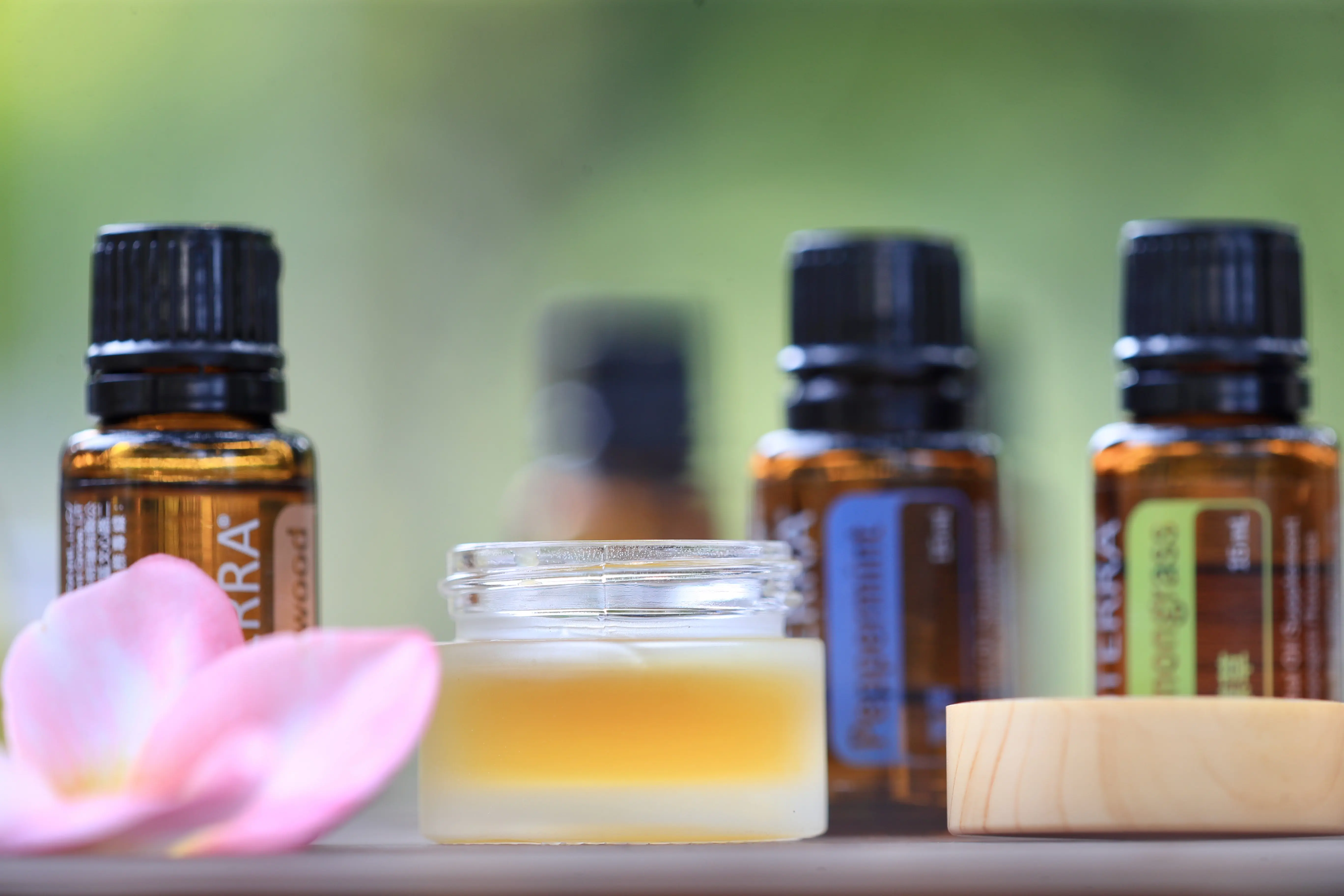 優質無花果與精油 | 彰化慈恩庇護休閒農場