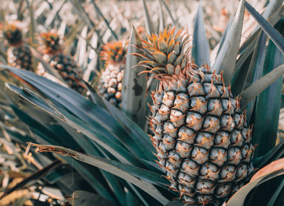 482130589_952150143775369_4696988034806293697_n