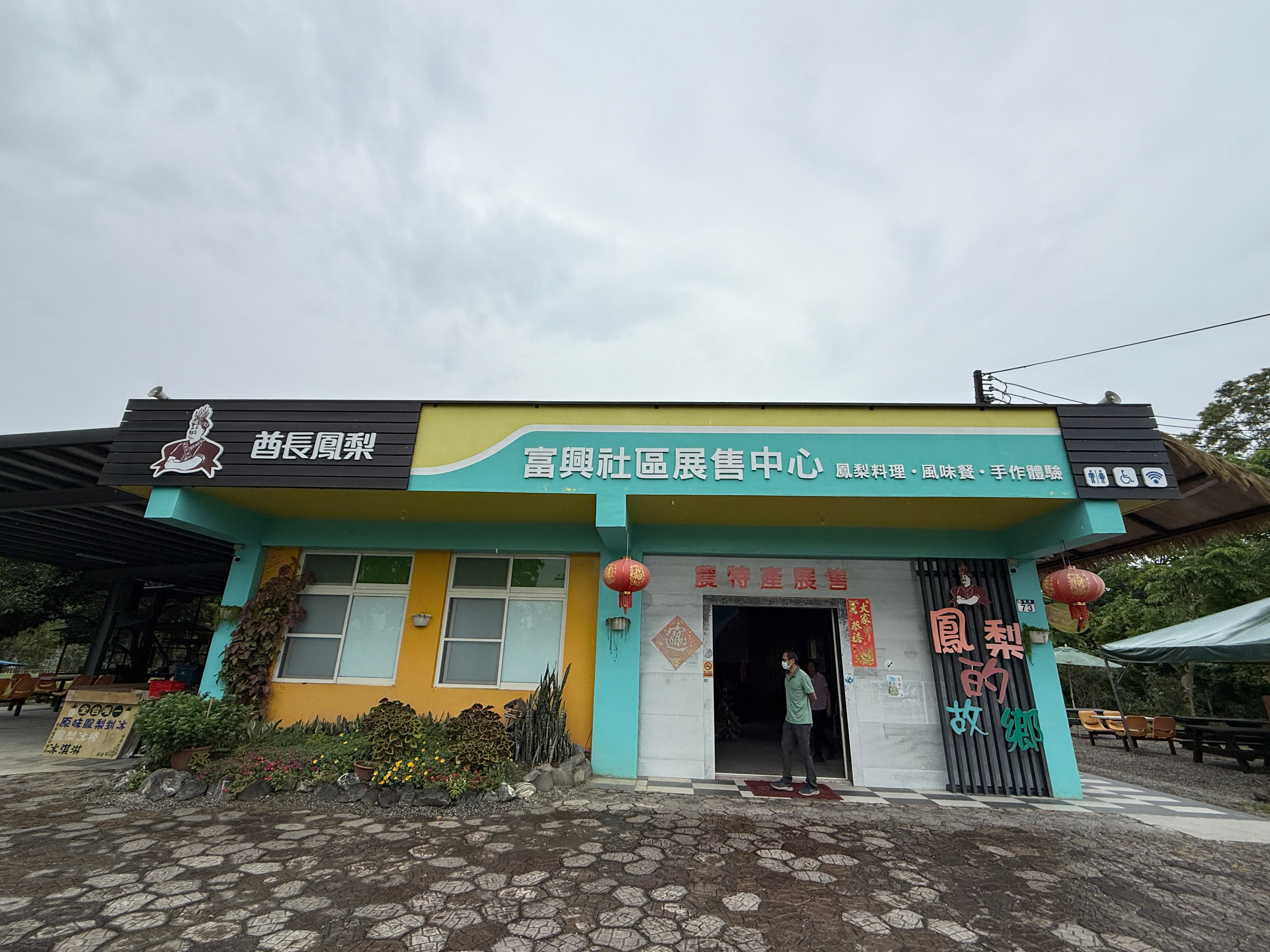 酋長鳳梨的故鄉